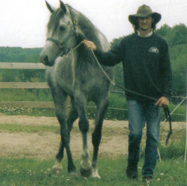 Avalondales Arabian Horses